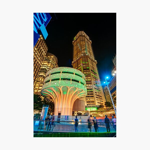 Urban Tree, Martin Place, Sydney Photographic Print