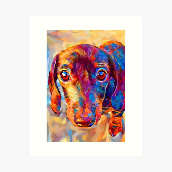 Miniature Dachshund 3 Art Print