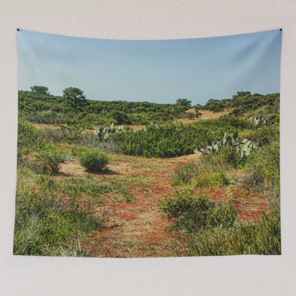 Item preview, Torrey Pines California - Verdant and Arid Juxtaposition designed and sold by Georgia Mizuleva.