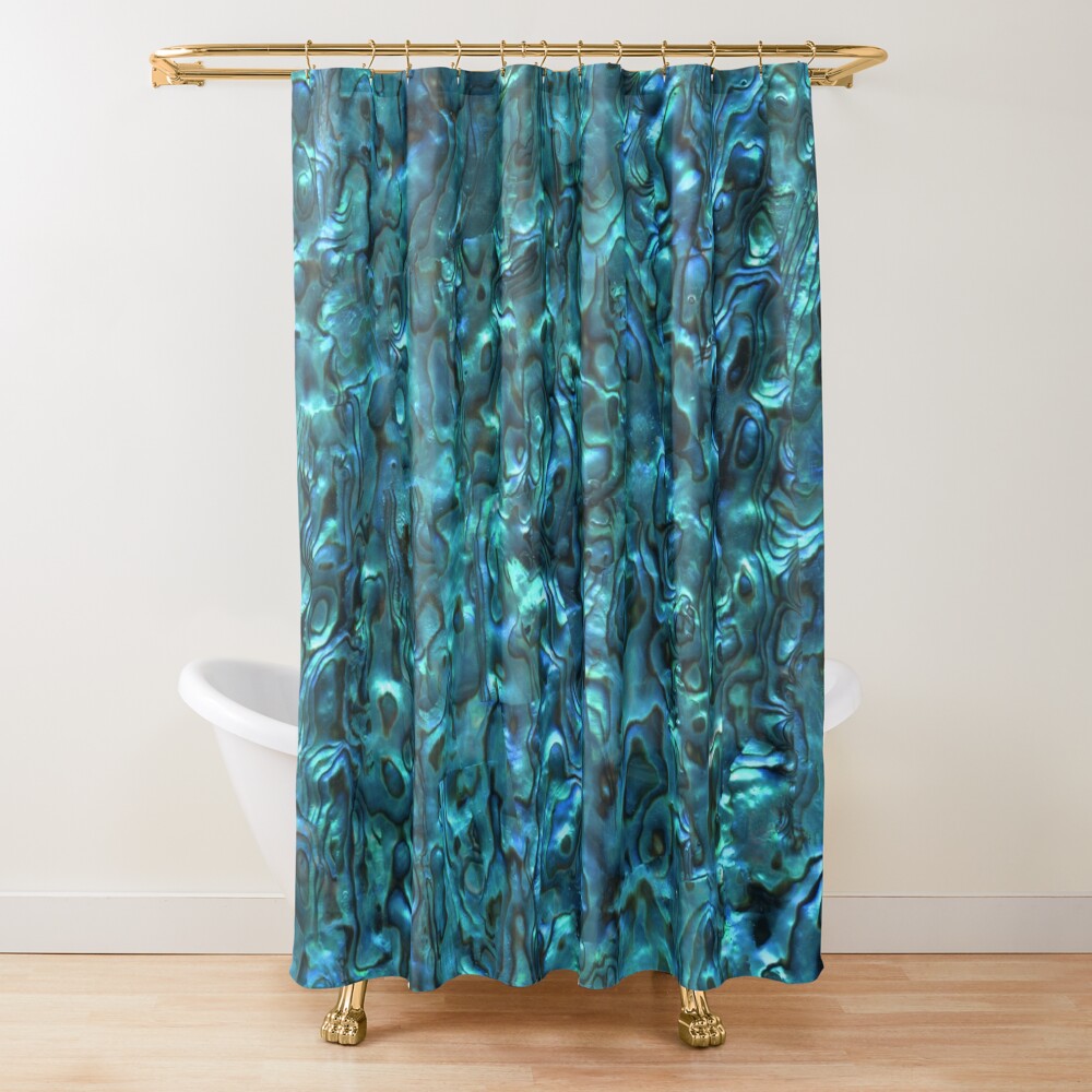 Abalone Shell Paua Shell Seashell Patterns Sea Shells Cyan