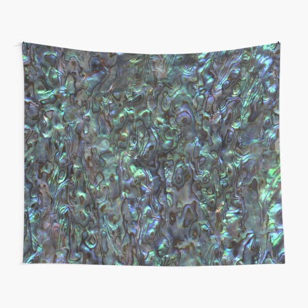 Abalone Shell | Paua Shell | Seashell Patterns | Sea Shells | Natural | Tapestry