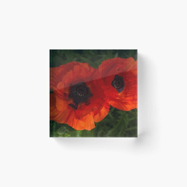 Item preview, Hot Red Poppy Duet - Horizontal  designed and sold by Georgia Mizuleva.