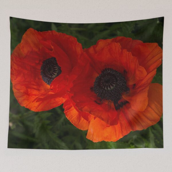 Item preview, Hot Red Poppy Duo - Horizontal designed and sold by Georgia Mizuleva.