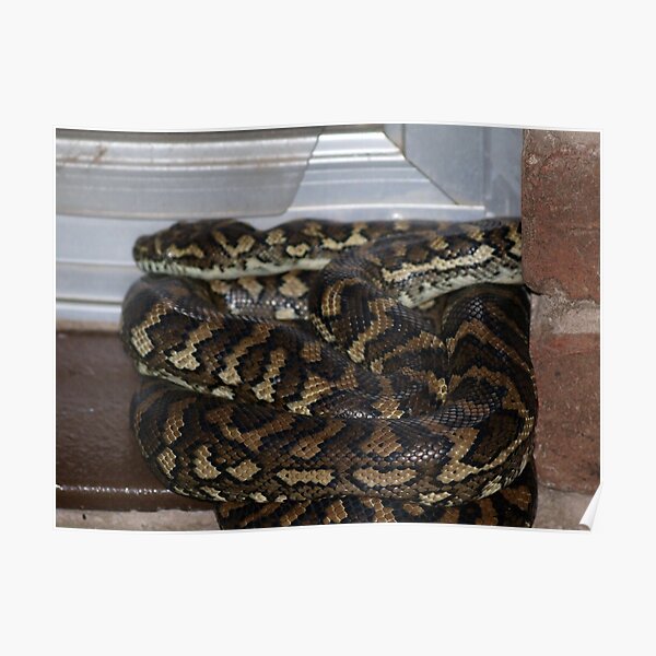 My new doormat... Poster