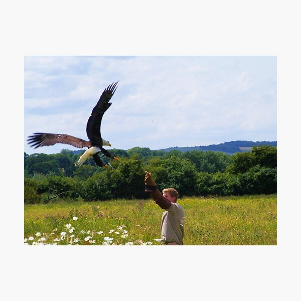 Artikelvorschau, is it safe to land here ?  entworfen und verkauft von chris  white.