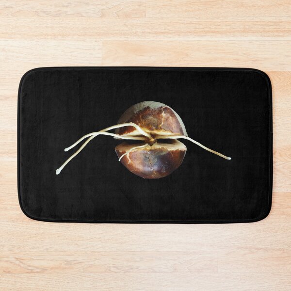 Item preview, Sprouting avocado seed close-up designed and sold by SDym Photography.