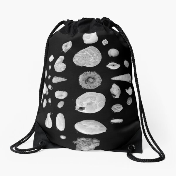Item preview, Foraminifera under the microscope designed and sold by SDym Photography.