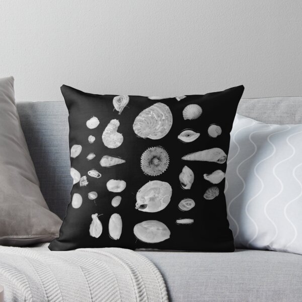 Item preview, Foraminifera under the microscope designed and sold by SDym Photography.