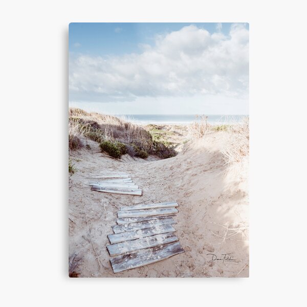 Winter walk to the beach Metal Print