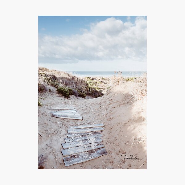 Winter walk to the beach Photographic Print