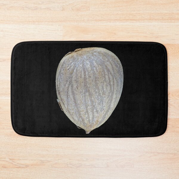 Item preview, Macro photo of an apricot seed kernel designed and sold by SDym Photography.