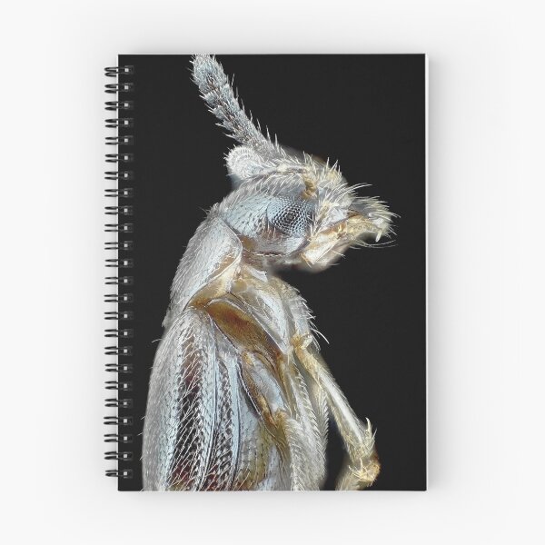 Item preview, Rove beetle under the microscope designed and sold by SDym Photography.