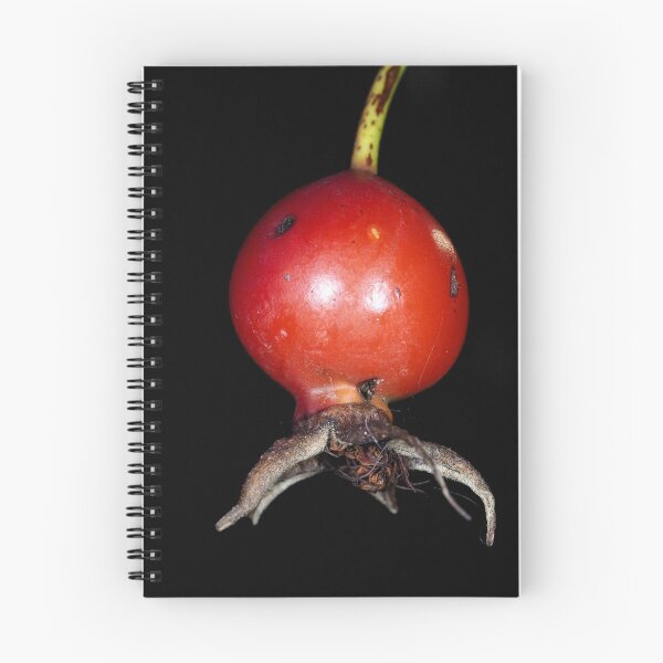 Item preview, Wild rose fruit close-up designed and sold by SDym Photography.