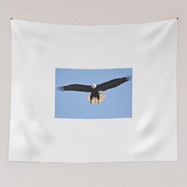 Item preview, Eagle Wingspan... designed and sold by RichImage.