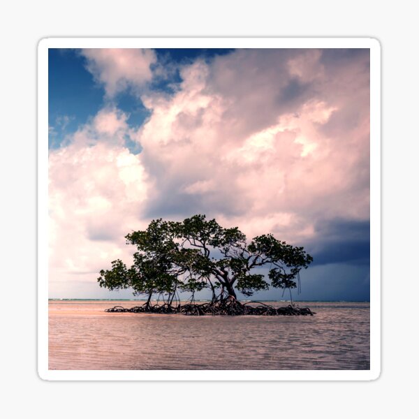 Item preview, Small Trees on Floating Island Under Stormy Sky Art Photo designed and sold by DEC02.
