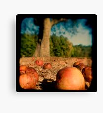 ttv Canvas Print