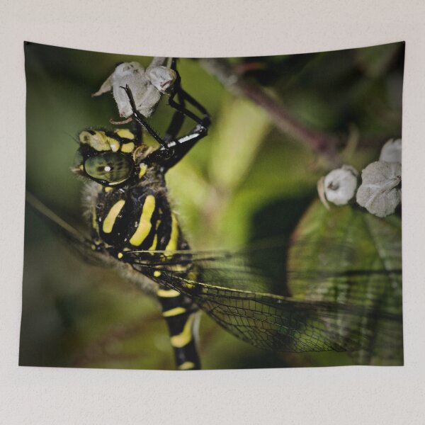 Item preview, ON THE BLACK N YELLOW BEAT BOX! designed and sold by NICK COBURN PHILLIPS.