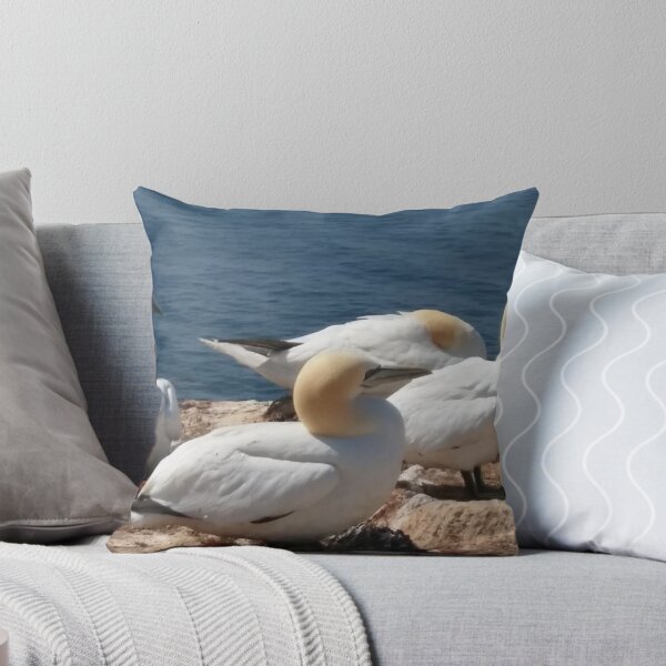 Item preview, Gannets designed and sold by gesa118.