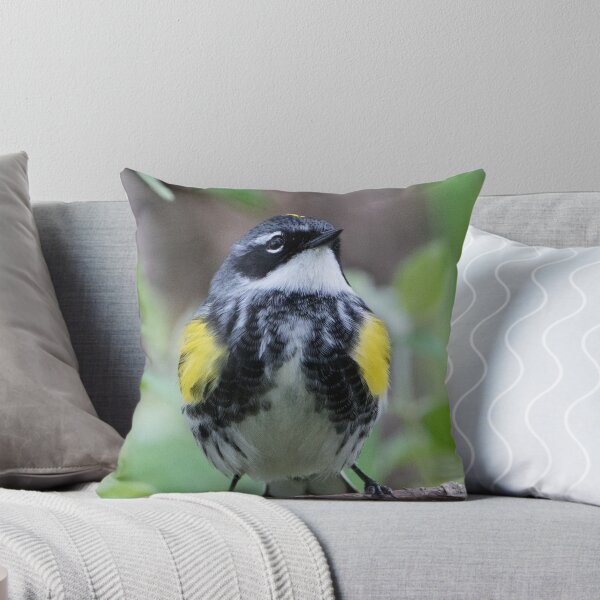 Item preview, Yellow-rumped Warbler designed and sold by WorldDesign.