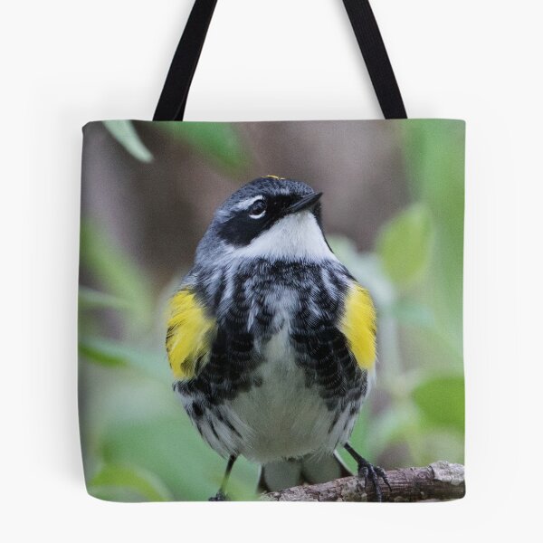 Item preview, Yellow-rumped Warbler designed and sold by WorldDesign.
