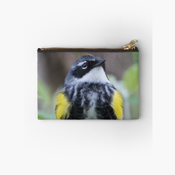 Item preview, Yellow-rumped Warbler designed and sold by WorldDesign.