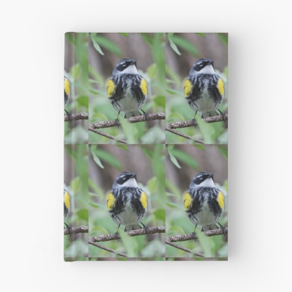 Item preview, Yellow-rumped Warbler designed and sold by WorldDesign.