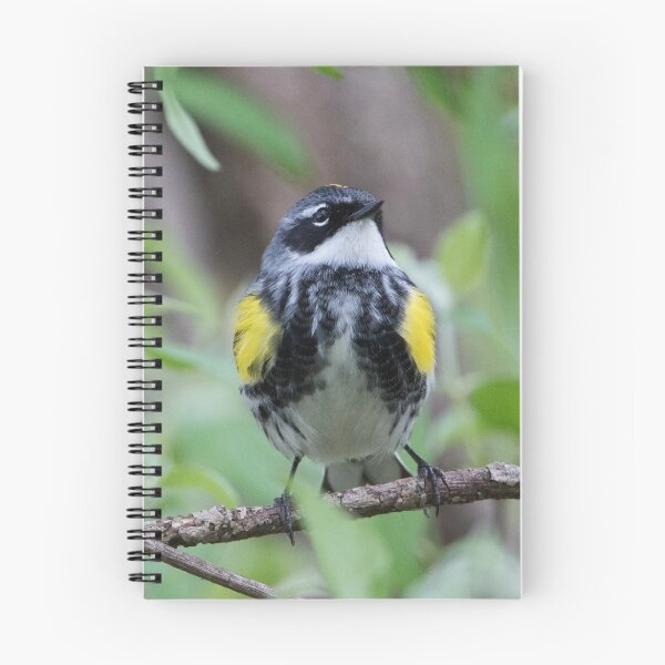 Item preview, Yellow-rumped Warbler designed and sold by WorldDesign.