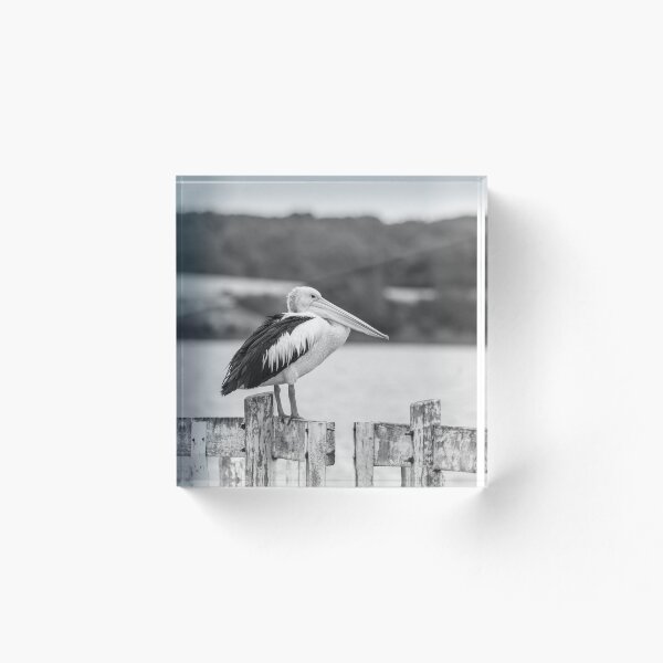 Item preview, Pelican at Goolwa - Black and white designed and sold by Dana Fatchen.