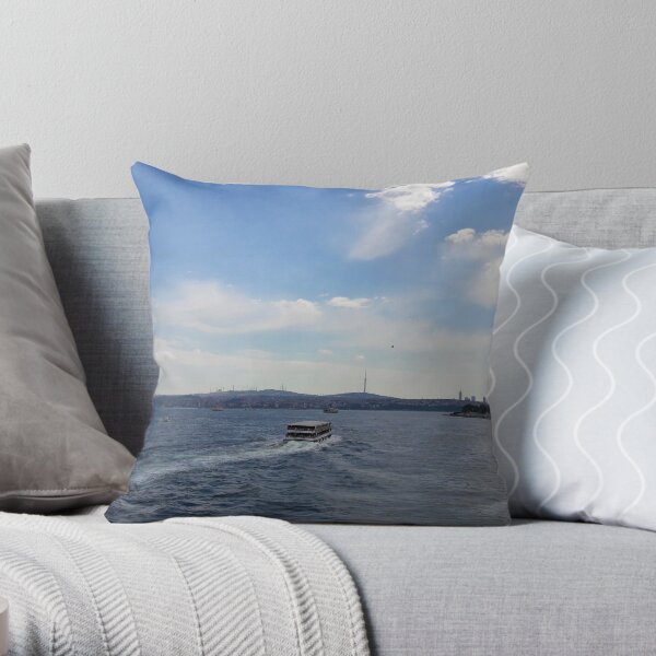 Throw Pillow