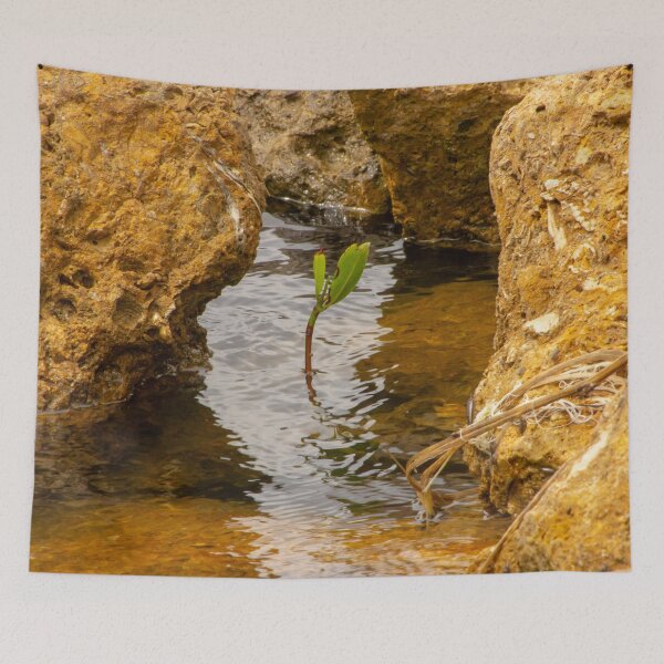 Item preview, Sapling in Tampa Bay designed and sold by CLSArtistries.