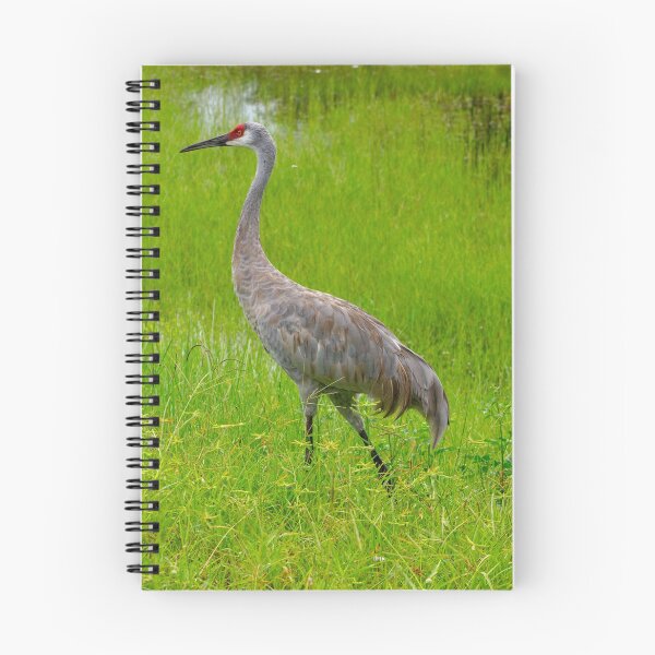 Item preview, Strolling Sandhill Crane designed and sold by CLSArtistries.