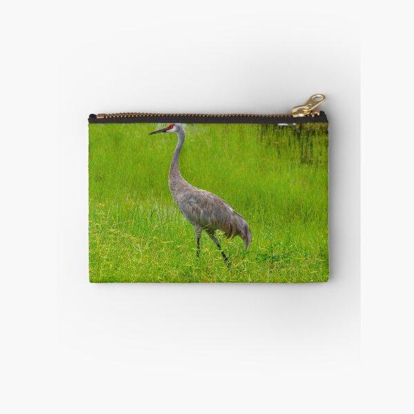 Item preview, Strolling Sandhill Crane designed and sold by CLSArtistries.