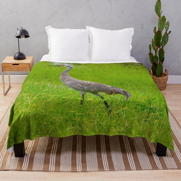 Item preview, Strolling Sandhill Crane designed and sold by CLSArtistries.