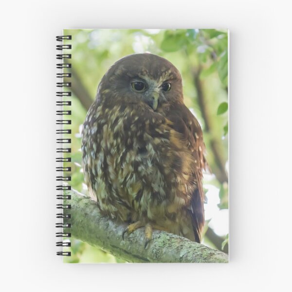 Item preview, Morepork Owl designed and sold by KarenWoodArt.
