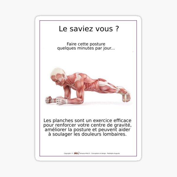 Planches Musculo-squelettique des positions de Yoga - N°2 Sticker