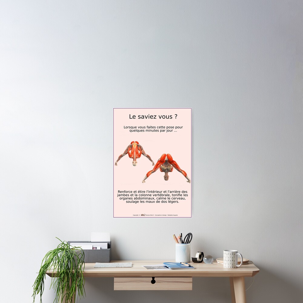 Poster « Planches Musculo-squelettique des positions de Yoga - N°3»