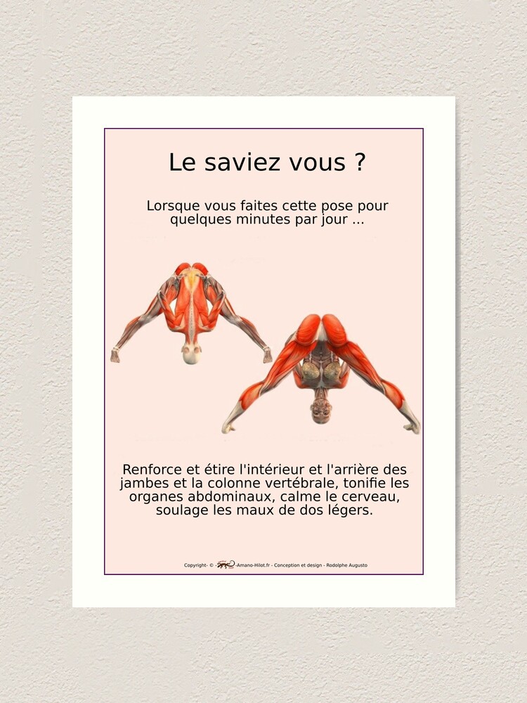 Impression artistique ''Planches Musculo-squelettique des positions de Yoga - N°3' : autre vue