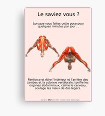 Planches Musculo-squelettique des positions de Yoga - N°3 Impression sur toile