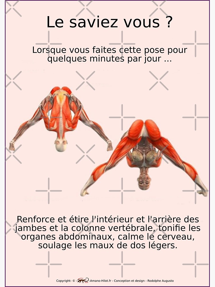 « Planches Musculo-squelettique des positions de Yoga - N°3 » par rodolphe-a