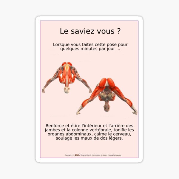 Planches Musculo-squelettique des positions de Yoga - N°3 Sticker