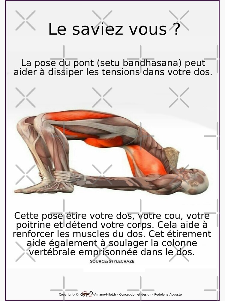 « Planches Musculo-squelettique des positions de Yoga - N°4 » par rodolphe-a