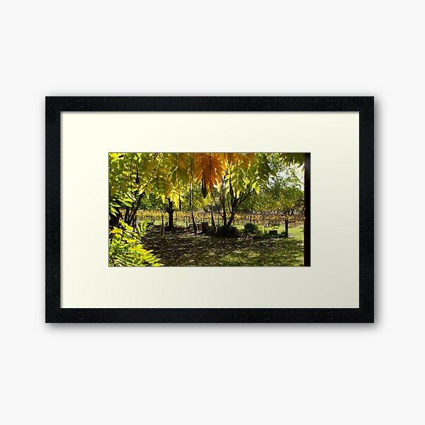 The View - Adelaide Hills Wine Region - Fleurieu Peninsula by South Australian artist Avril Thomas Framed Art Print