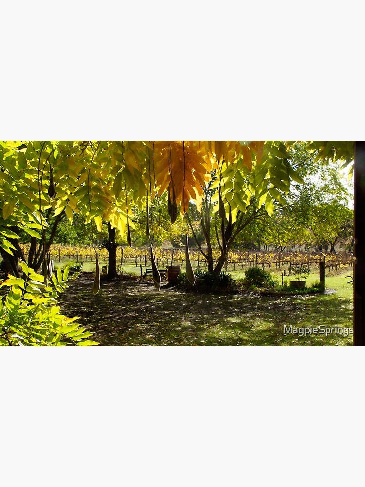 Thumbnail 3 of 3, Sticker, The View - Adelaide Hills Wine Region - Fleurieu Peninsula by South Australian artist Avril Thomas designed and sold by MagpieSprings.