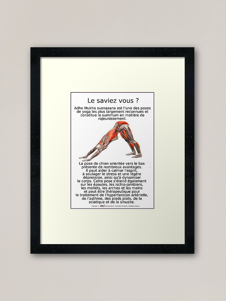 Impression encadrée ''Planches Musculo-squelettique des positions de Yoga - N°5' : autre vue