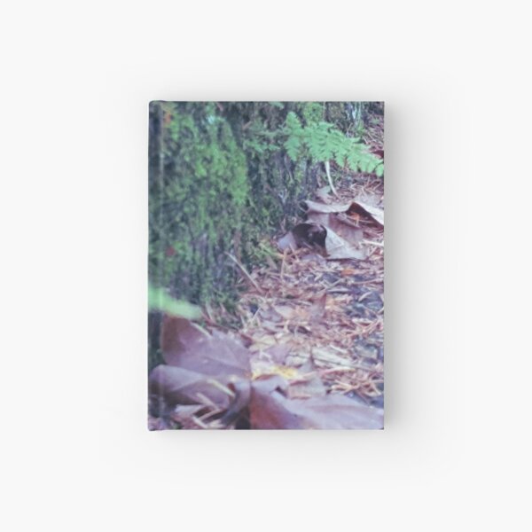 WALKITOFF "Natural Landscapes - Mount Lofty 002" Hardcover Journal