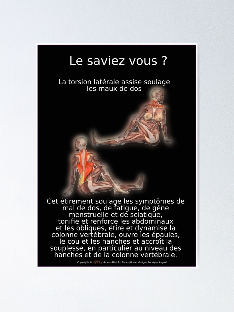 Poster ''Planches Musculo-squelettique des positions de Yoga - N°6' : autre vue