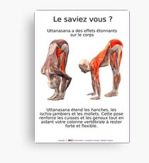 Planches Musculo-squelettique des positions de Yoga - N°7 Impression sur toile