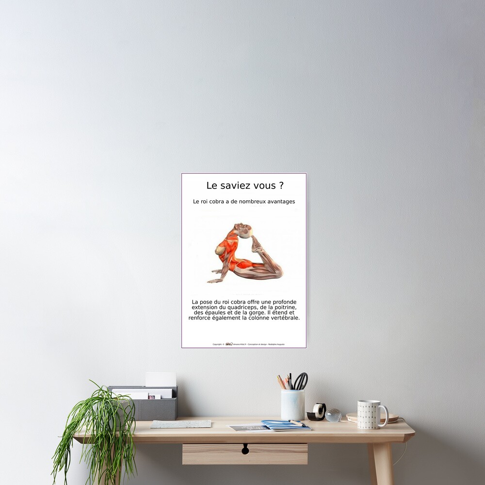 Poster « Planches Musculo-squelettique des positions de Yoga - N°8»