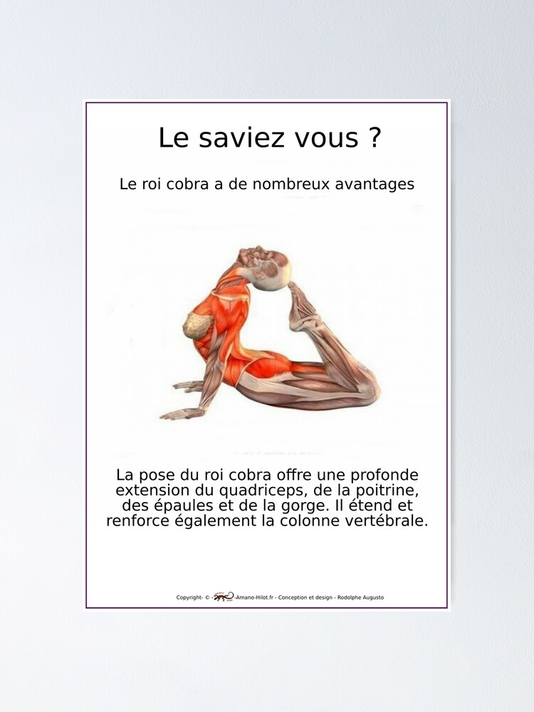 Poster ''Planches Musculo-squelettique des positions de Yoga - N°8' : autre vue
