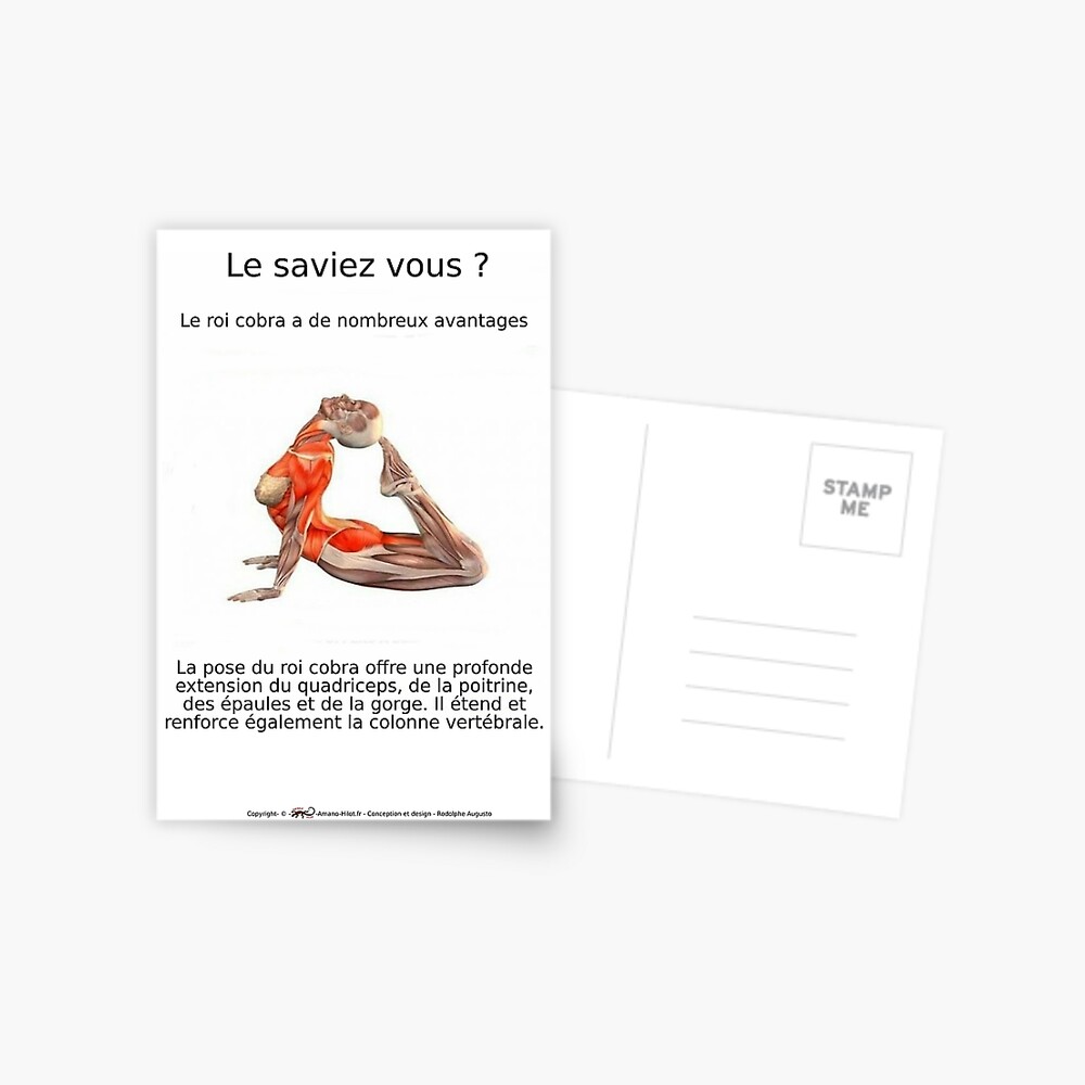Carte postale « Planches Musculo-squelettique des positions de Yoga - N°8»